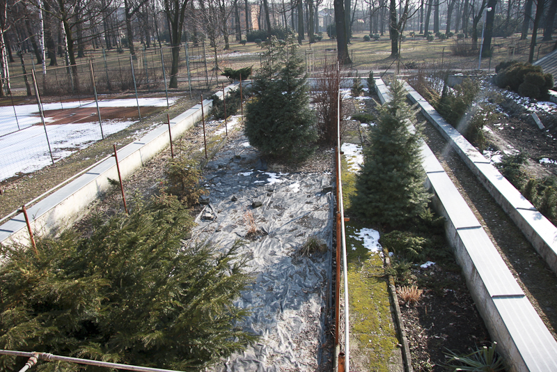 Zahrada_001