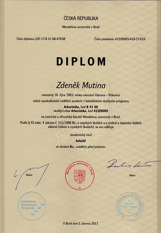 diplom-001-n.jpg